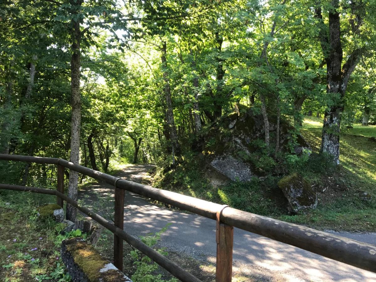 Angolo Di Paradiso B&B Grizzana Buitenkant foto